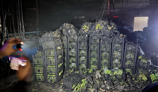 Alanya Demitaş'da Muz Deposunda Yangın: Tonlarca Ürün Kül Oldu