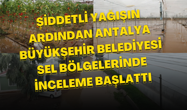 Şiddetli Yağışın Ardından Antalya Büyükşehir Belediyesi Sel Bölgelerinde İnceleme Başlattı