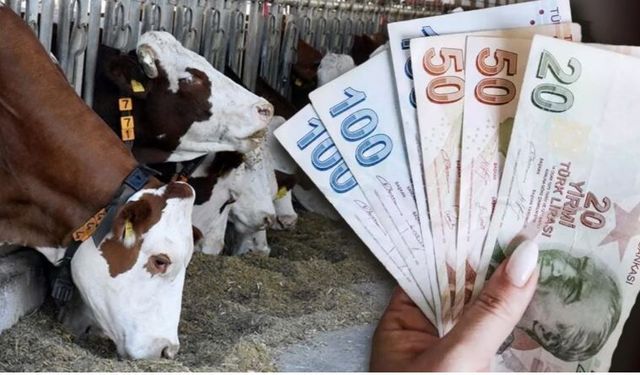 Çiftçiye Mazot Ve Gübre Desteği, Hayvancılığa Hayvan Başı Teşvik: Tarımda Yeni Destek Paketi