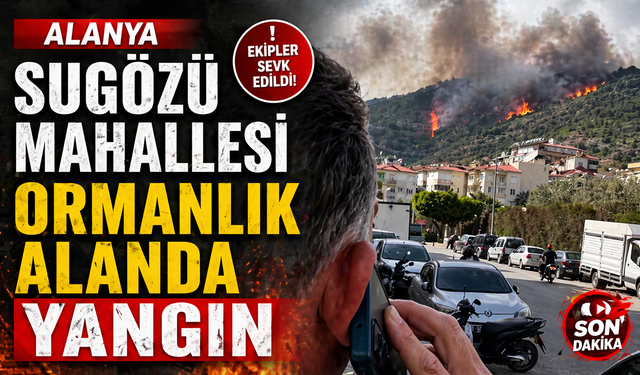 Alanya Sugözü Mahallesi Ormanlık Alanda Yangın