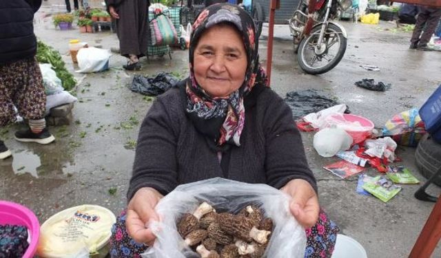 Alanya’da “Dolaman” Mesaisi Başladı: Kilosu 3 Bin Liraya Kadar Çıkıyor