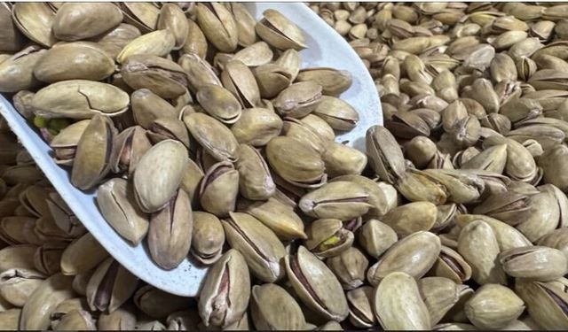 Fıstık İhracatı İlk Çeyrekte 32,8 Milyon Dolara Ulaştı