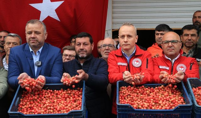 Sezonun İlk Kirazı 6 Bin TL’den Alıcı Buldu