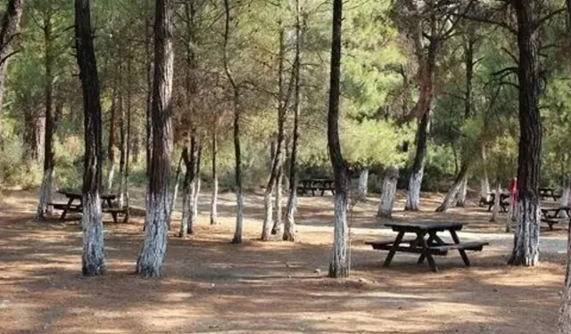 Alanya’da Ormanlara Giriş Yasaklandı