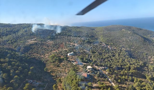 Kaş’ta Orman Yangını: Havadan Ve Karadan Müdahale Ediliyor