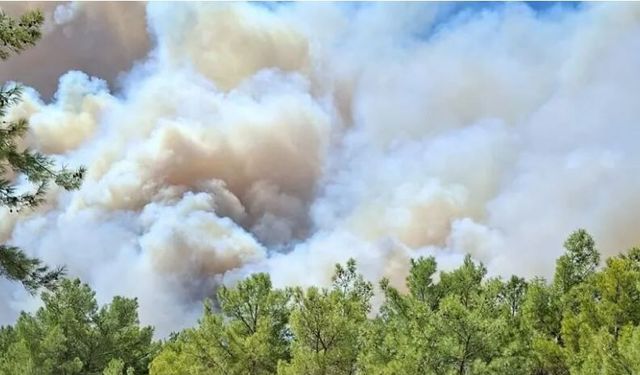 Seydikemer’deki Yangın Kaş’a Ulaştı: Saklıkent Kanyonu Kapatıldı