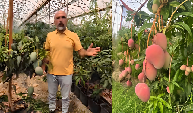 Başkan Hüddoğlu’ndan Mango İsyanı! “Üretici Gram Gram Eriyor”