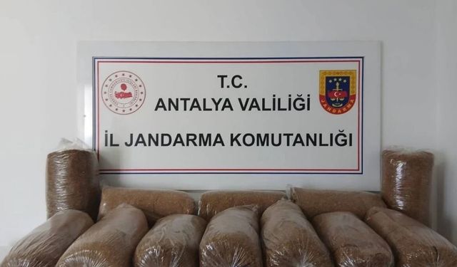 Alanya'da Jandarmadan Kaçak Tütün Operasyonu
