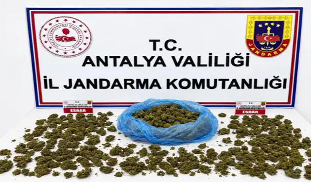 Alanya’da Jandarmadan Operasyon: 4 Şüpheli Gözaltında