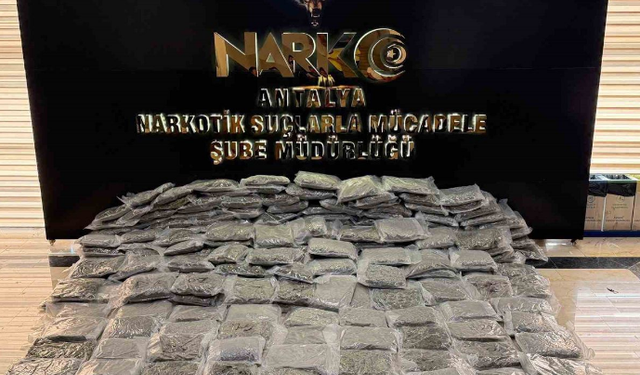 Antalya’da 250 Kilo Esrar Ele Geçirildi