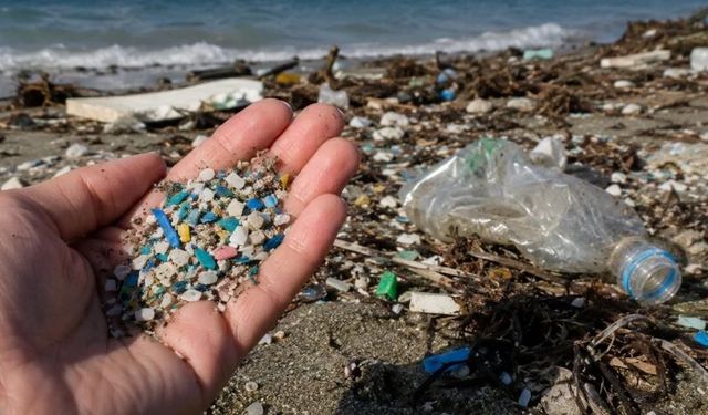 Antalya’da Denizden 31 Bin 500 Ton Atık Çıkarıldı