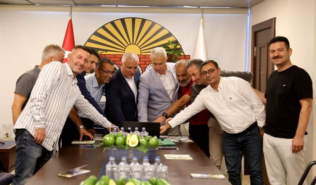 Alanya Avokadosu’nun Avrupa Birliği Coğrafi İşaret Başvurusu Yapıldı