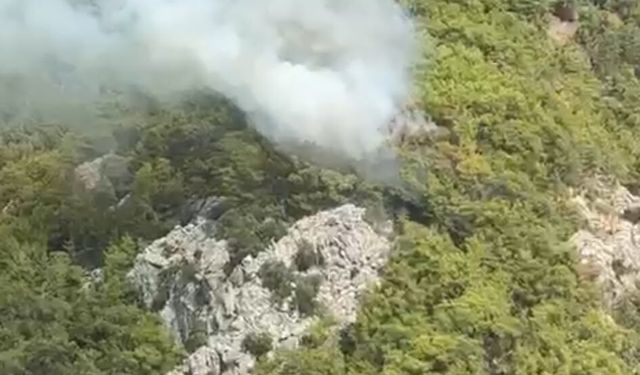 Kemer Çıralı’da Orman Yangını