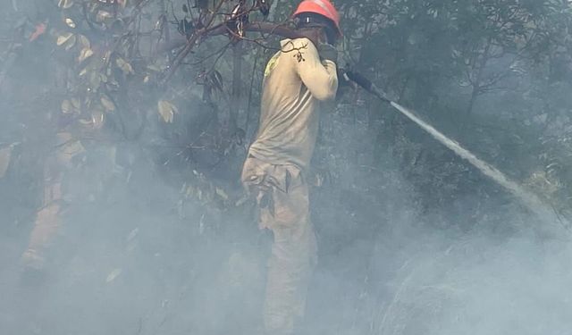Kaş’ta Orman Yangını! Havadan Ve Karadan Müdahale Devam Ediyor