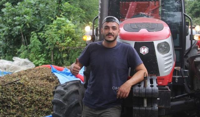Fındık Üreticisine Yeni Masraf: Patoz Ücreti 6 Bin Liraya Çıktı