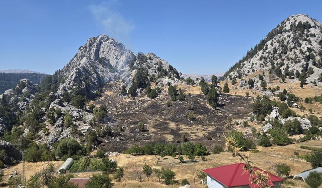 Alanya'daki İki Ayrı Noktada Çıkan Yangınlar Kontrol Altına Alındı
