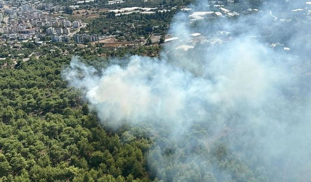 Kepez’de Orman Yangını! Havadan ve Karadan Müdahale Sürüyor