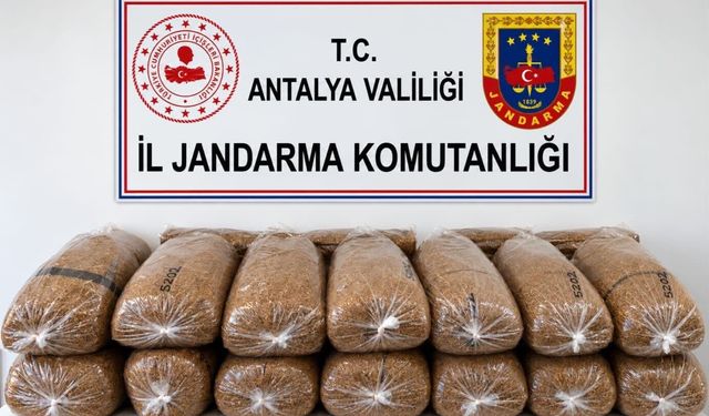 Alanya’da Kaçak Tütün Operasyonu: 144 Kilogram Tütün Ele Geçirildi
