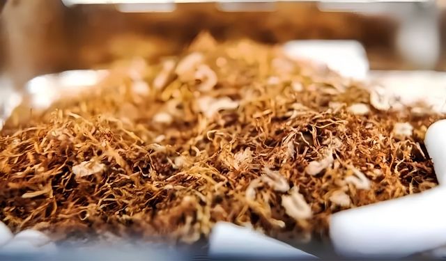 Alanya Ve Kaş’ta Kaçak Tütün Operasyonu: 218 Kilo Tütün Ele Geçirildi