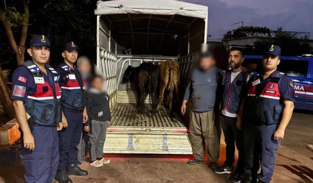 Korkuteli'de Hayvan Hırsızlarına JASAT Darbesi