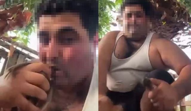 Alanya’da Kan Donduran Olay: Kuşun Kafasını Ağzıyla Kopardı, Bıçakla Kesti!