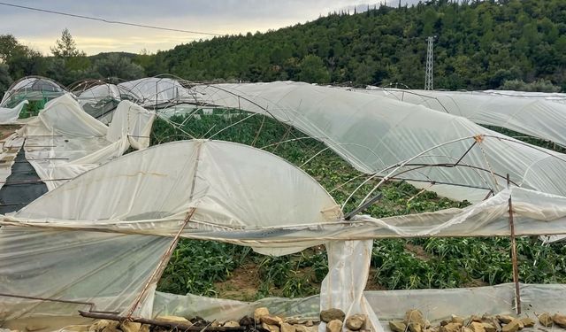 Manavgat’ta Hortum Dehşeti! 15 Dönümlük Sera Yerle Bir Oldu