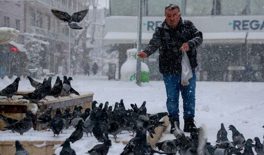 Buz Gibi Havada Yürek Isıtan Görüntü: Güvercinlere Şefkat Eli
