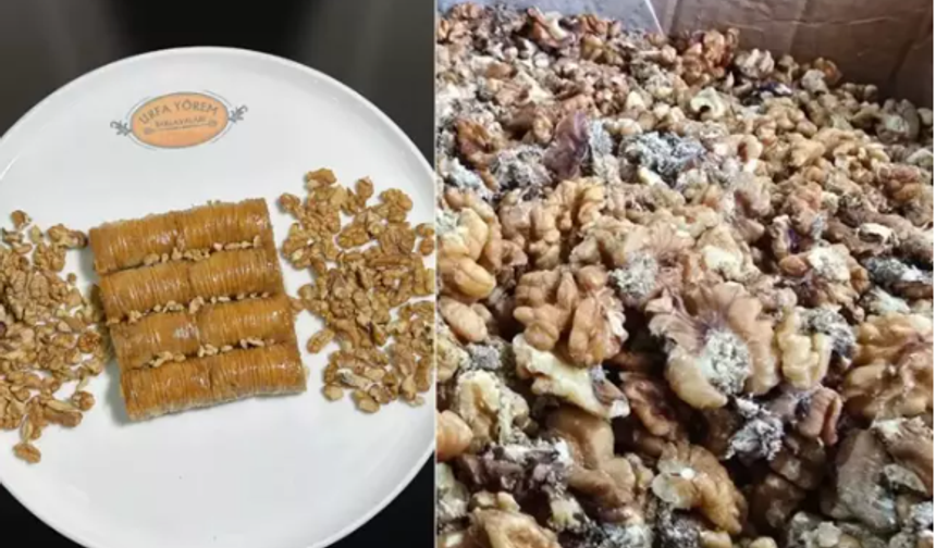 Ünlü Baklavacının Kurtlu Ceviz Skandalı Büyüyor!