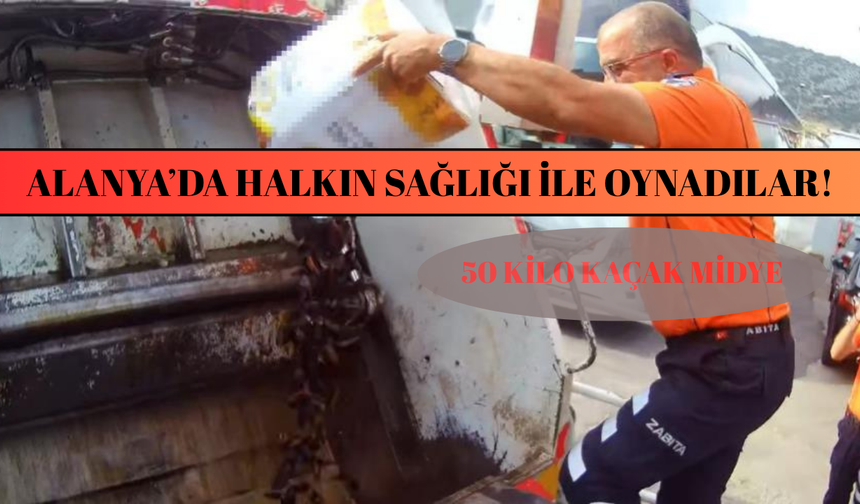 Alanya’da Halkın Sağlığı İle Oynadılar! 50 Kilo Kaçak Midye Otobüste Yakalandı
