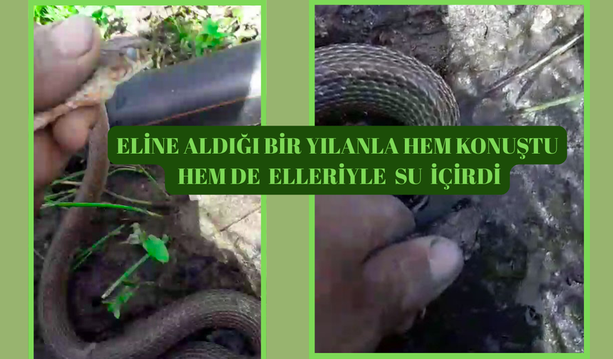 Eliyle Tuttuğu Yılanla Sohbet Etti, Su İçirdi