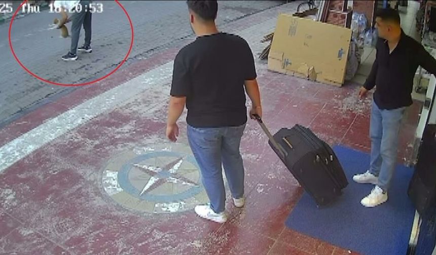 Kediye Heimlich Manevrası Yaparak Hayatını Kurtardı. O Anlar Kamerada