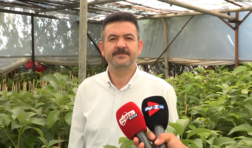 Harun Arslan’dan Yeni Sezon Avokado Dikimi Öncesi Önemli Uyarılar