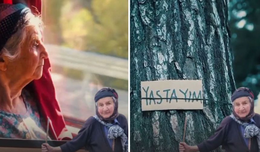 Ağaca Sarıldığı Fotoğrafla Tanınmıştı! 90 Yaşındaki Zehra Nine Yaşamını Yitirdi