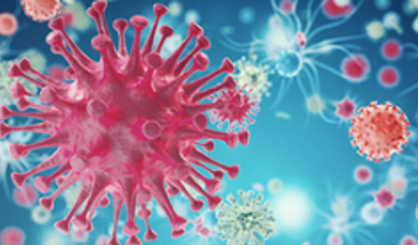 Alanya'da Grip Alarmı: Salgın Okullardan Evlere Taşınıyor