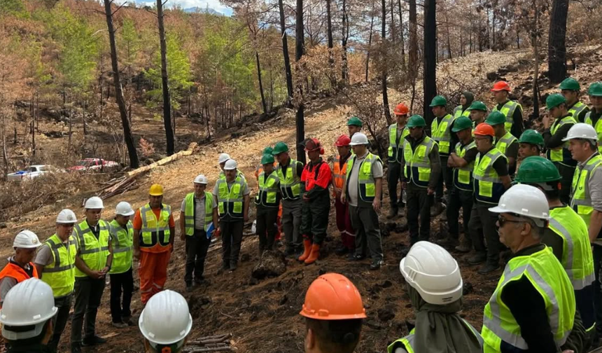 Alanya'da Orman Personeline Uygulamalı Eğitim