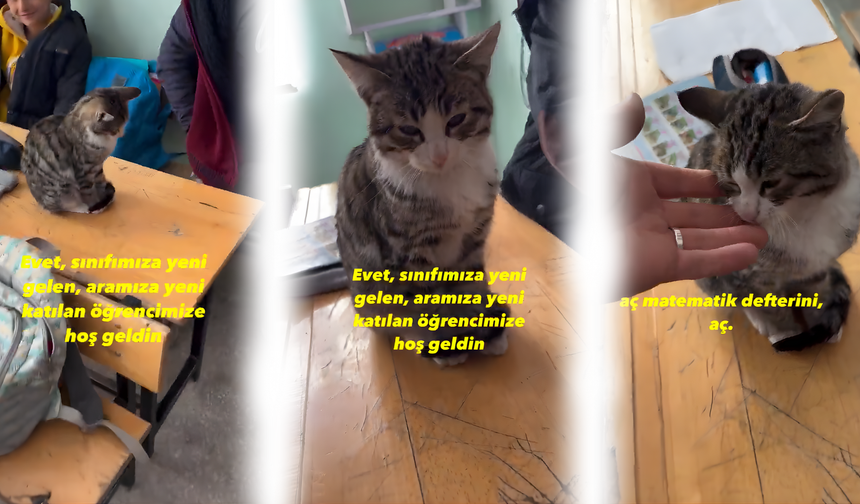 Soğuktan Kaçan Minik Misafir Sivas’ta Okula Girdi