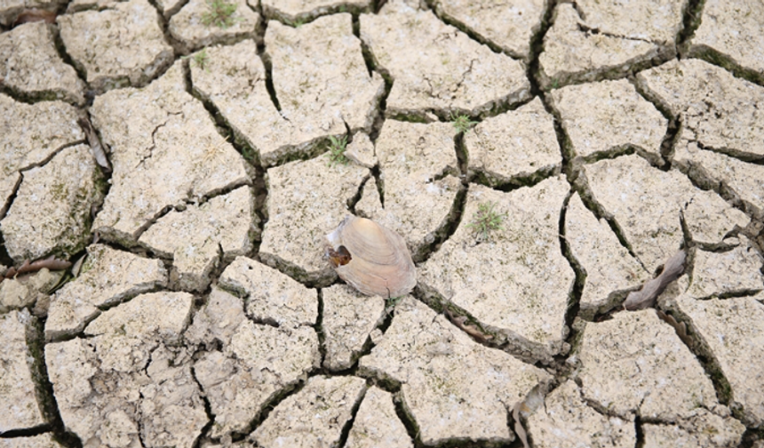 Akdeniz Alarm Veriyor: Antalya ve Alanya'da Kuraklık Tehlikesi