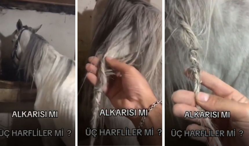 Gece Yarısı Tüyler Ürperten Keşif: Atın Yelesi Örülmüş Halde Bulundu