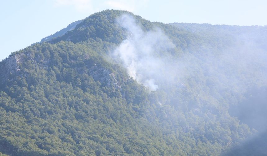 Alanya'da Dağlık Bölgede Çıkan Orman Yangını Kısa Sürede Kontrol Altına Alındı