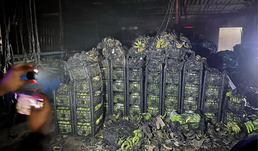 Alanya Demitaş'da Muz Deposunda Yangın: Tonlarca Ürün Kül Oldu