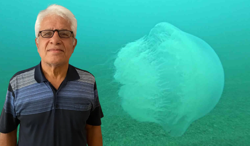 Antalya Körfezi’ne Dev Denizanaları Girdi, Geçiş Başladı