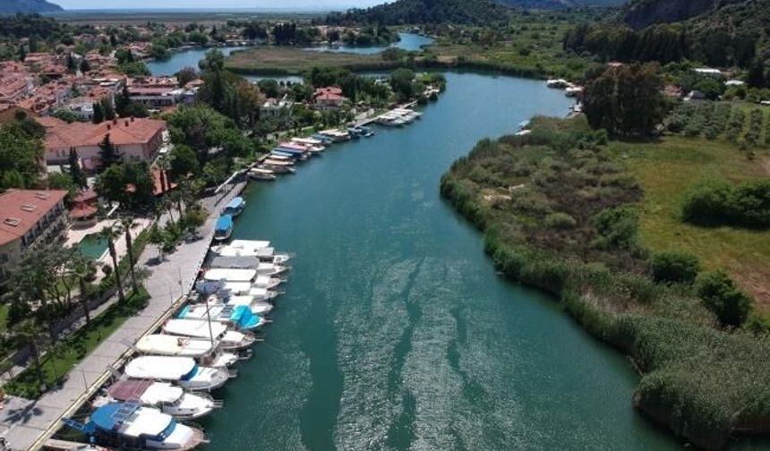 Türkiye’nin En Kısa Feribot Hattı: 50 Saniyede Karşıya Geçiş