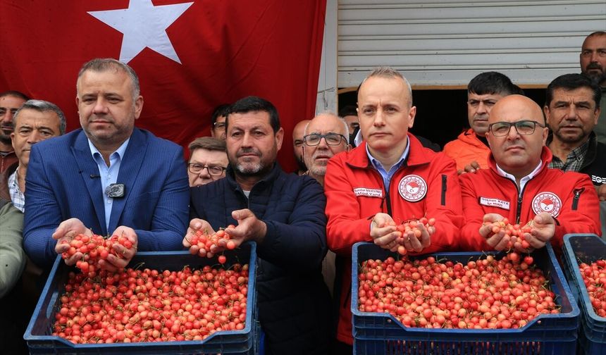 Sezonun İlk Kirazı 6 Bin TL’den Alıcı Buldu