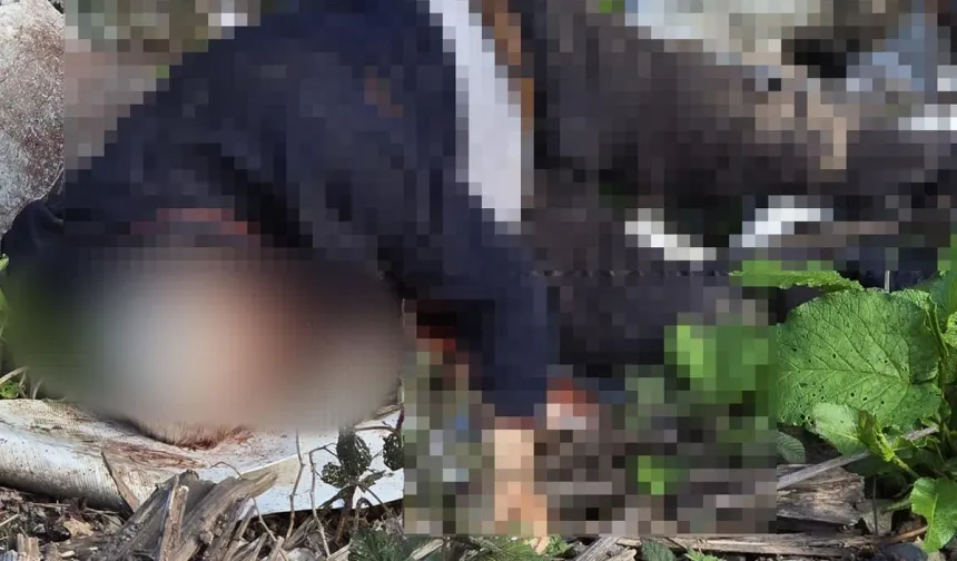 Başından Vurulmuş Halde Bulunmuştu: Cinayet Zanlısı Suçunu İtiraf Etti