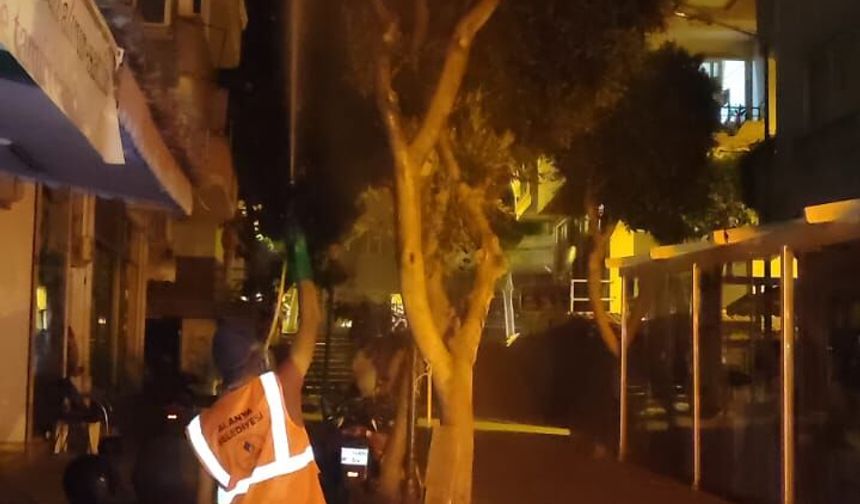 Alanya'da Yakarca Alarmı: Belediye Gece Mesaisine Çıktı