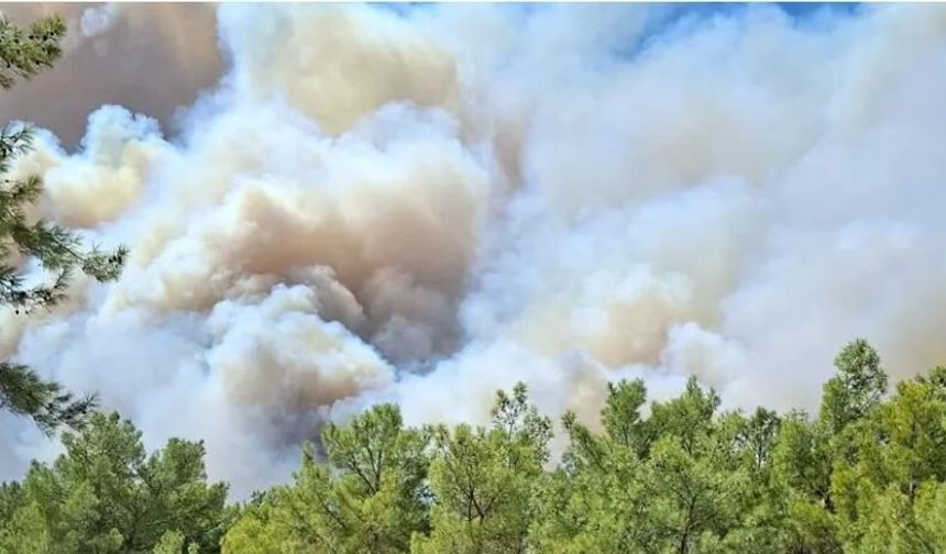 Seydikemer’deki Yangın Kaş’a Ulaştı: Saklıkent Kanyonu Kapatıldı