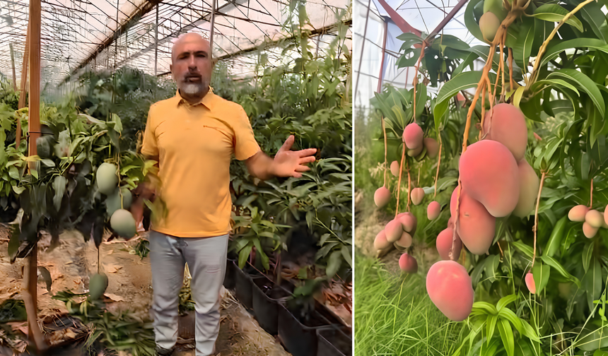 Başkan Hüddoğlu’ndan Mango İsyanı! “Üretici Gram Gram Eriyor”
