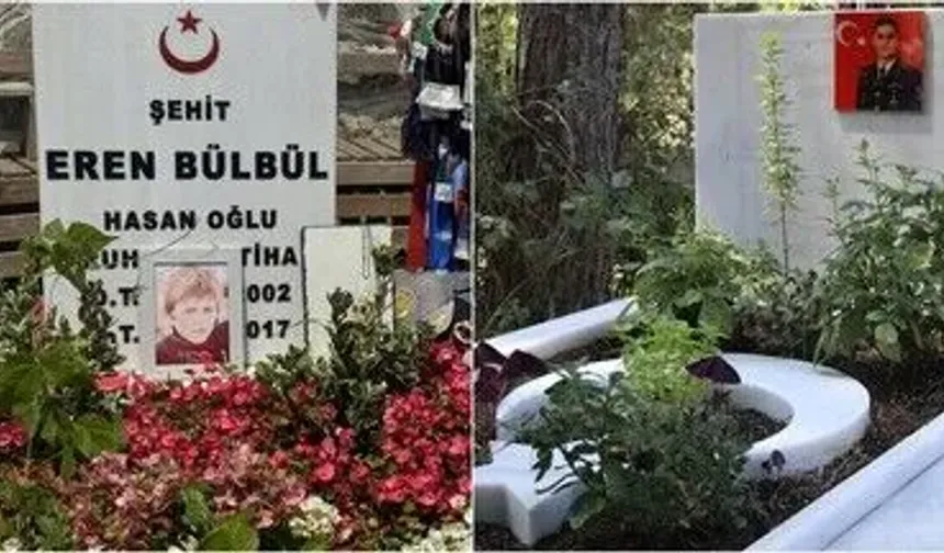 Eren Bülbül ve Ferhat Gedik Şehadetlerinin Yıl Dönümünde Anılıyor