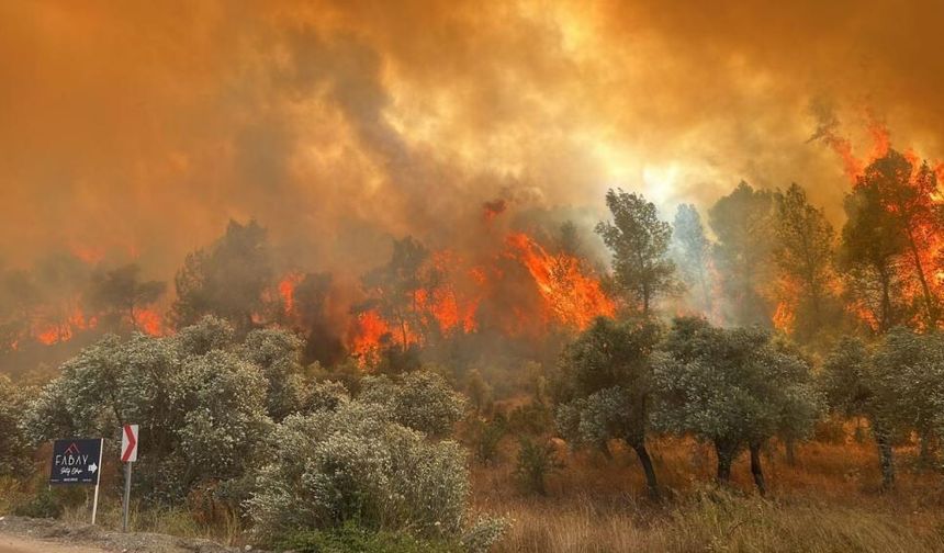 Alanya Kaymakamlığından Orman Yangını Uyarısı: Sıcaklık 42 Dereceye Çıkacak