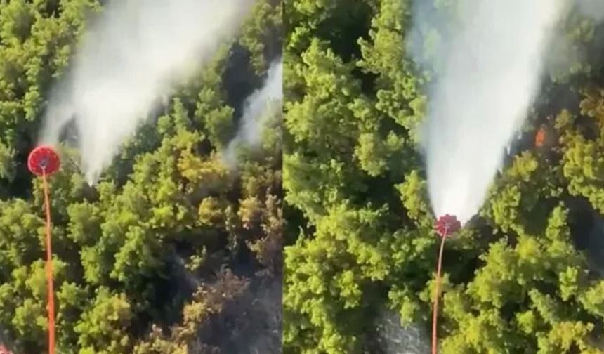 Manavgat’taki Orman Yangını Kontrol Altına Alındı